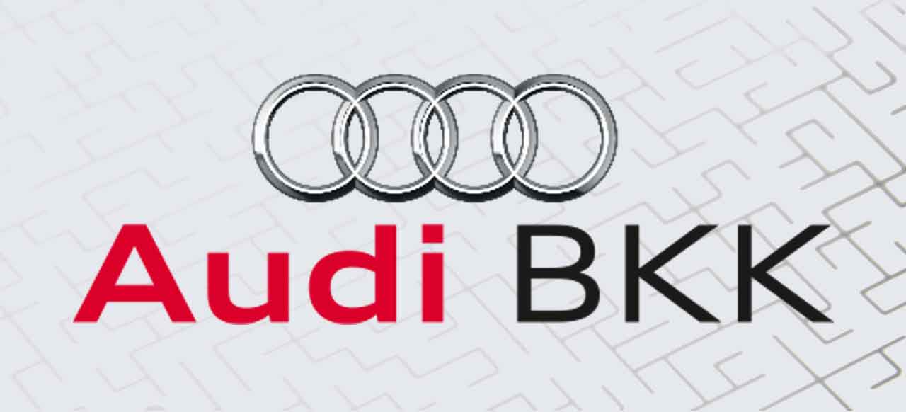 Teambuilding im Leitungsteam (Audi BKK )